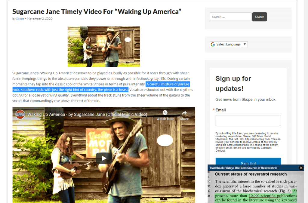 Skope Mag Reviews Sugarcane Jane’s “Waking Up America”