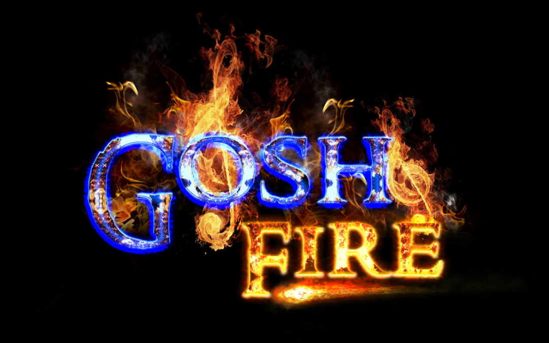 Interview: Gosh Fire