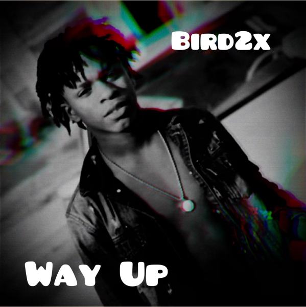 Interview: Bird2x