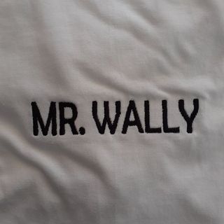 Mr.Wally